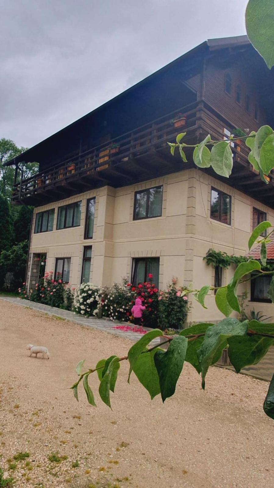Pensiunea Belvedere Guest house Bran (Brasov)