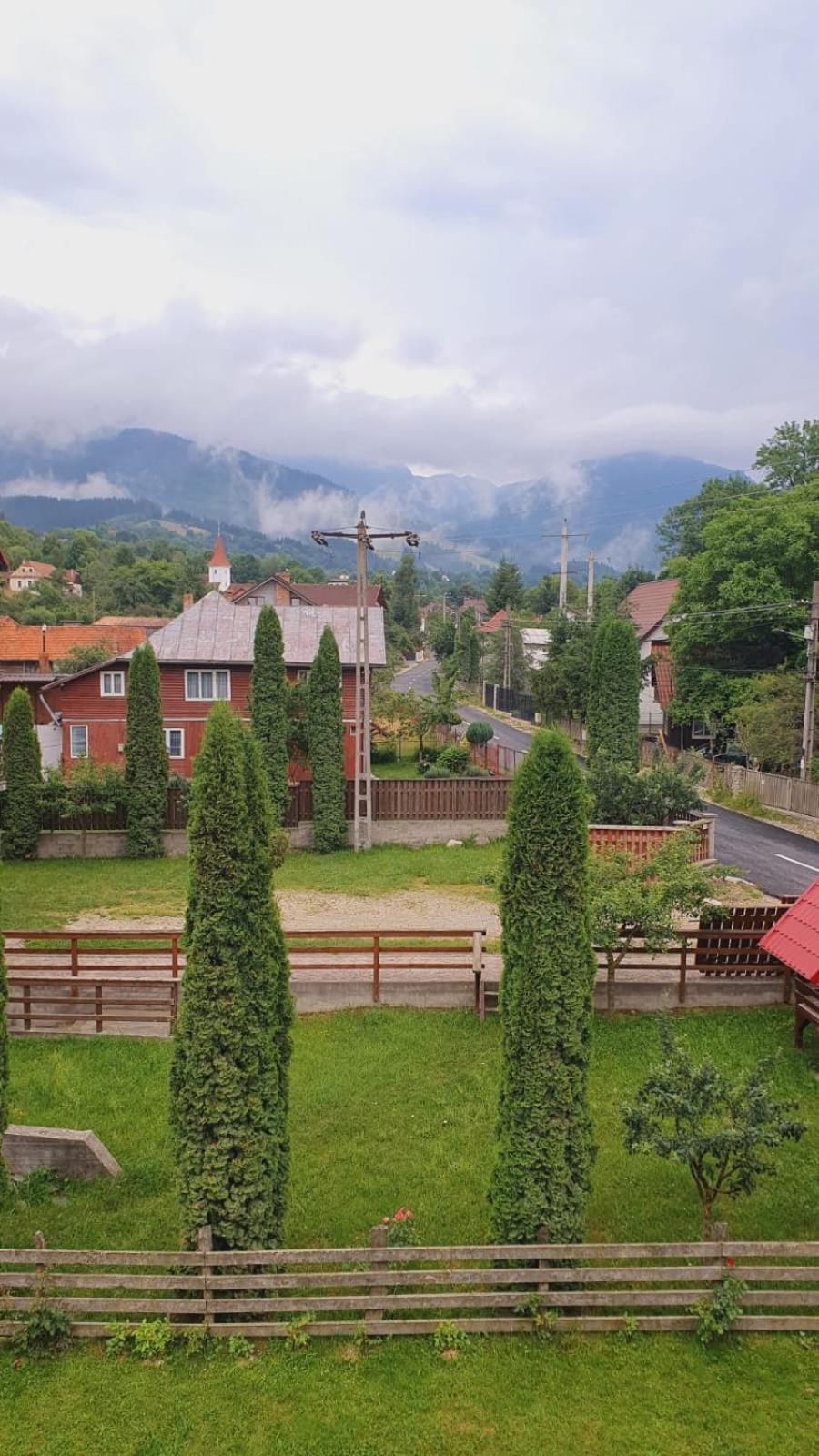 Guest house Pensiunea Belvedere *