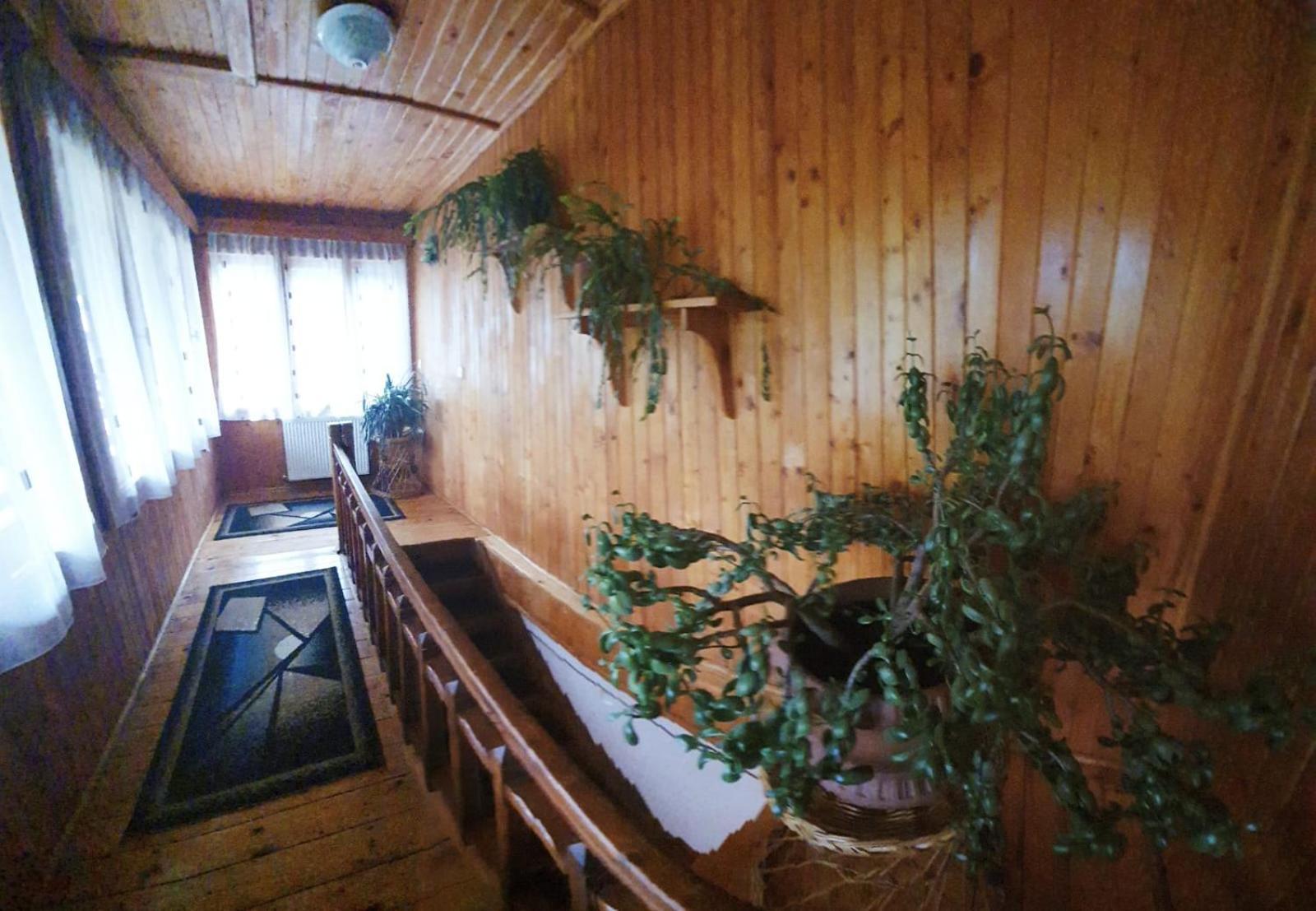 Pensiunea Belvedere Guest house *