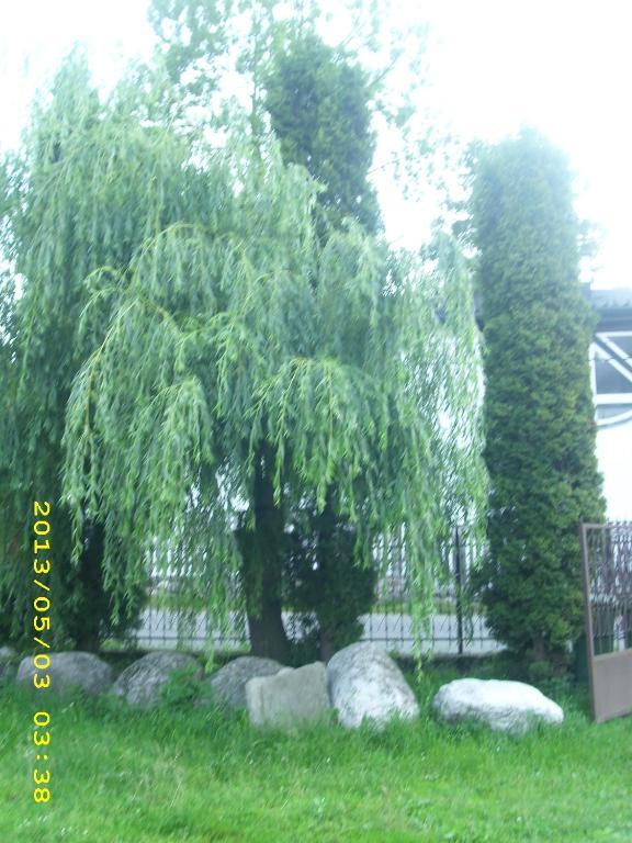 Guest house Pensiunea Belvedere Bran (Brasov)